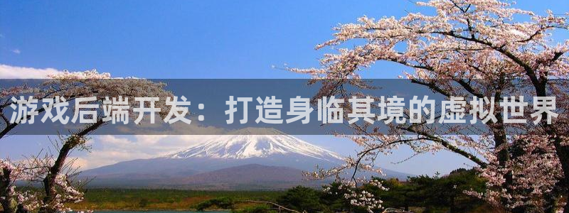 沐鸣娱乐2可靠吗