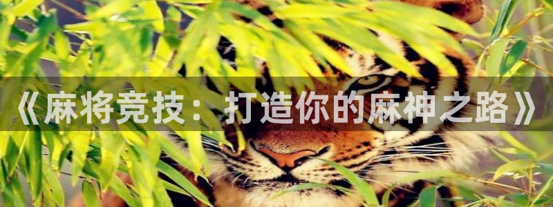 沐鸣娱乐2注册官网