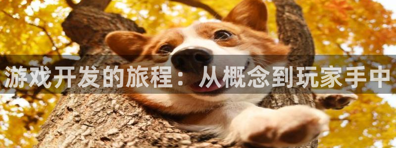 沐鸣2平台测速登录