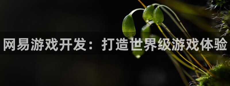 沐鸣2登录测速