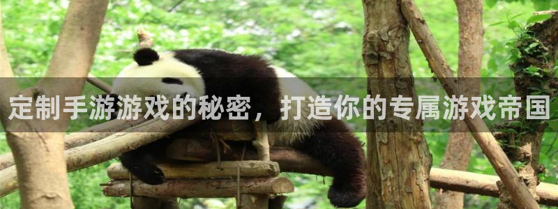 沐鸣2平台主管