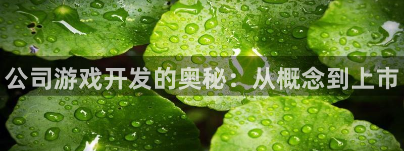 沐鸣2官网注册地址