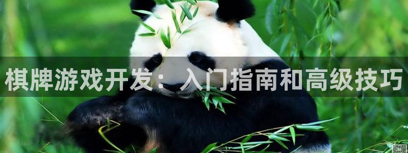 沐鸣2开户地址
