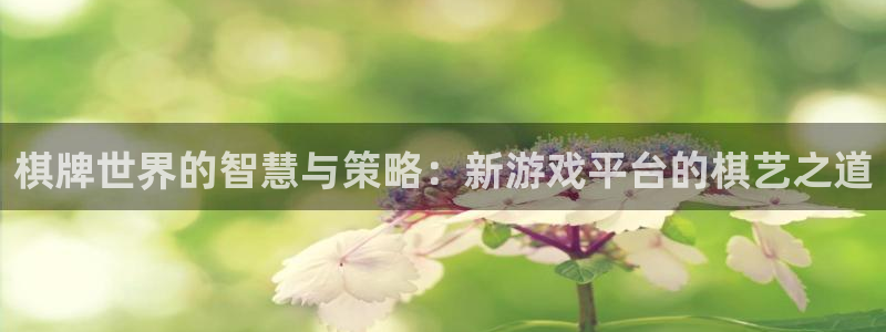 沐鸣2注册登入：棋牌世界的智慧与策略：新游戏平台的棋艺之道