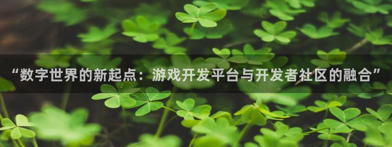 沐鸣娱乐2l怎么样：“数字世界的新起点：游戏开发平台与开发者社区的融合”