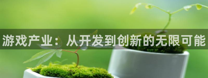 沐鸣娱乐2登录地址：游戏产业：从开发到创新的无限可能