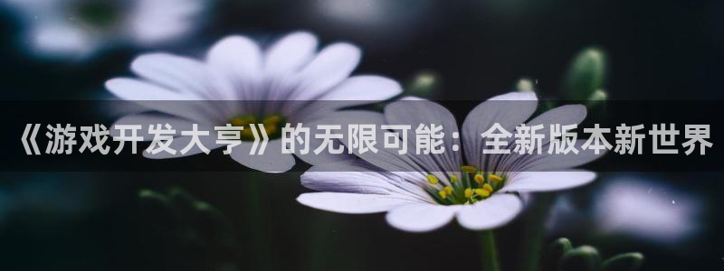 沐鸣2账号注册：《游戏开发大亨》的无限可能：全新版本新世界