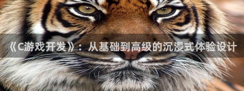 沐鸣平台由44262：《C游戏开发》：从基础到高级的沉浸式体验设计