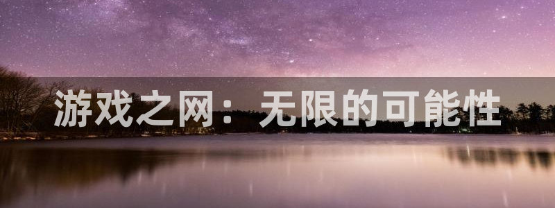 沐鸣娱乐2游戏说明：游戏之网：无限的可能性