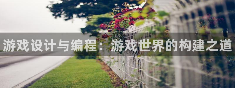 沐鸣娱乐2注册地址：游戏设计与编程：游戏世界的构建之道