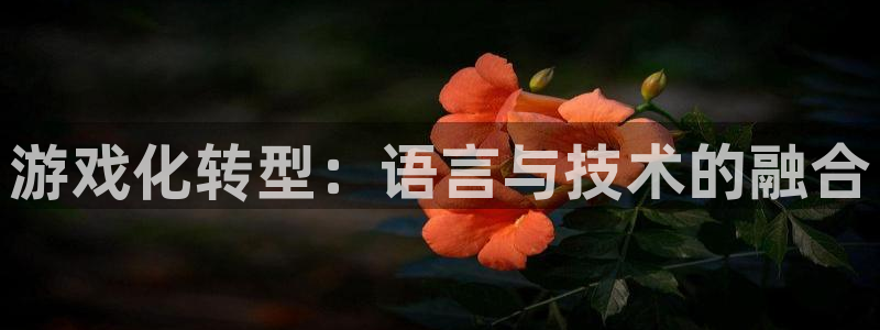 沐鸣2平台登录线路：游戏化转型：语言与技术的融合