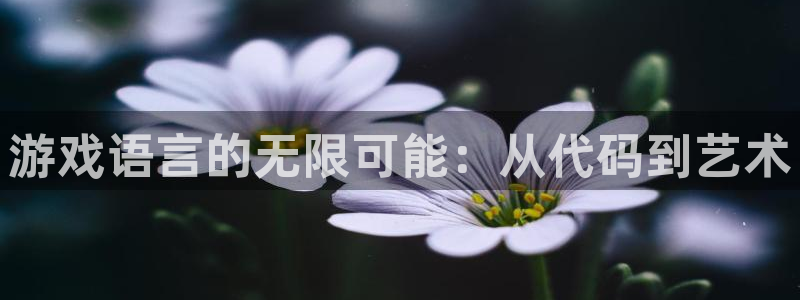 沐鸣娱乐2注册账号：游戏语言的无限可能：从代码到艺术