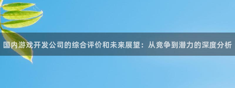 沐鸣2app官方：国内游戏开发公司的综合评价和未来展望：从竞争到潜力的深度分析