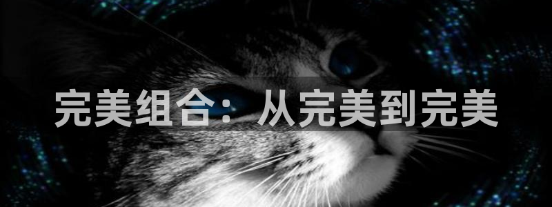 首页沐鸣2注册官网：完美组合：从完美到完美
