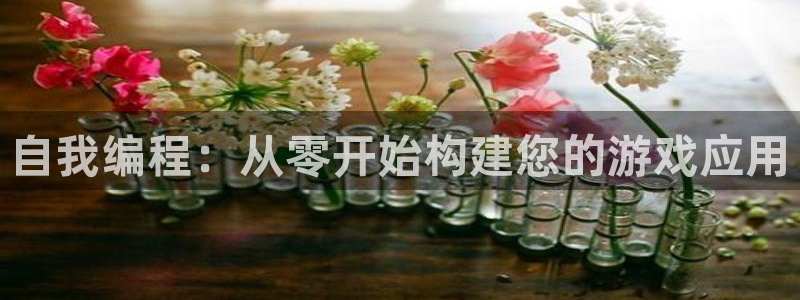 沐鸣2开户：自我编程：从零开始构建您的游戏应用
