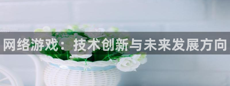 沐鸣娱乐2登录平台官网网址：网络游戏：技术创新与未来发展方向