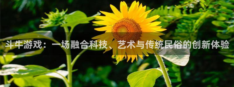 沐鸣娱乐2官网网址是多少：斗牛游戏：一场融合科技、艺术与传统民俗的创新体验