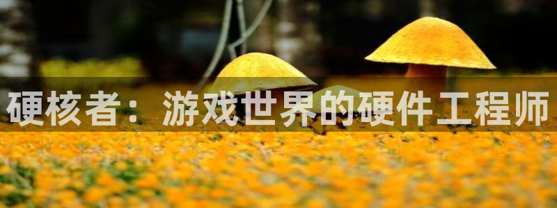 沐鸣2测速登录：硬核者：游戏世界的硬件工程师