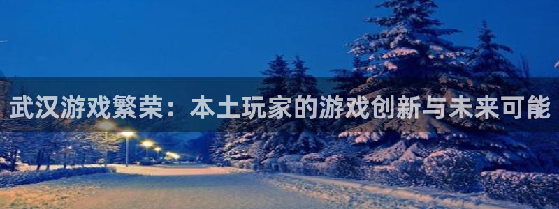 沐鸣娱乐2手机下载：武汉游戏繁荣：本土玩家的游戏创新与未来可能