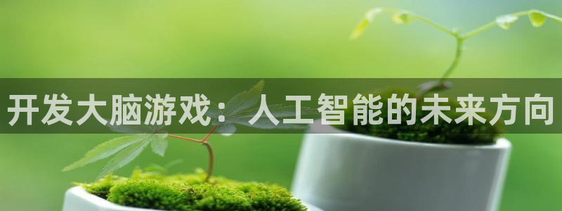 沐鸣2输钱能要回来吗：开发大脑游戏：人工智能的未来方向
