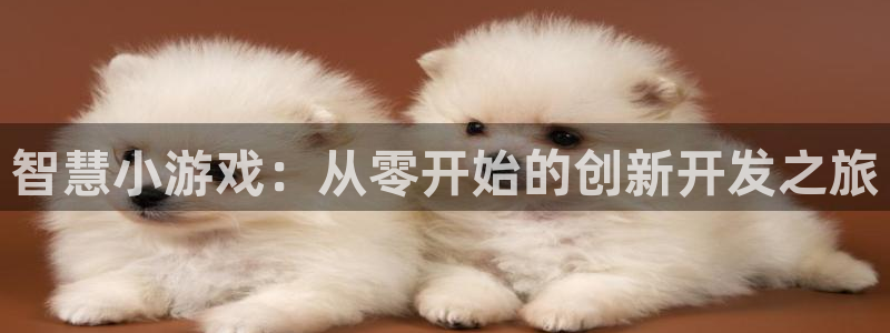 沐鸣2平台负责人：智慧小游戏：从零开始的创新开发之旅