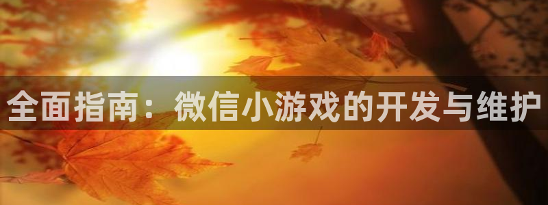 沐鸣娱乐2官方网站：全面指南：微信小游戏的开发与维护