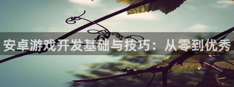沐鸣2输钱能要回来吗：安卓游戏开发基础与技巧：从零到优秀
