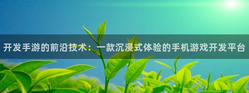 沐鸣2平台开户：开发手游的前沿技术：一款沉浸式体验的手机游戏开发平台