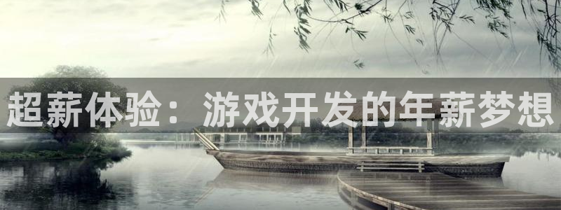 沐鸣2登录注册：超薪体验：游戏开发的年薪梦想